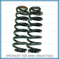 BMW E39 5er Touring Federn Schraubenfedern hinten L+R 1093632